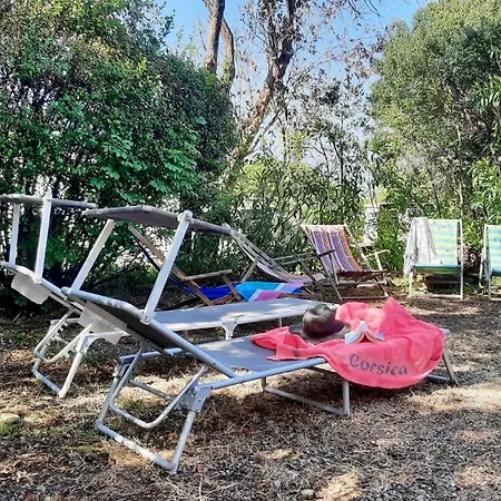 Piscine & Vue Mer, Maison Familiale Corse, Acces Cascade Santa-Maria-Poggio (Corsica)